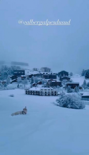 Studio lumineux avec vue et accès sur les pistes ! Coup de coeur